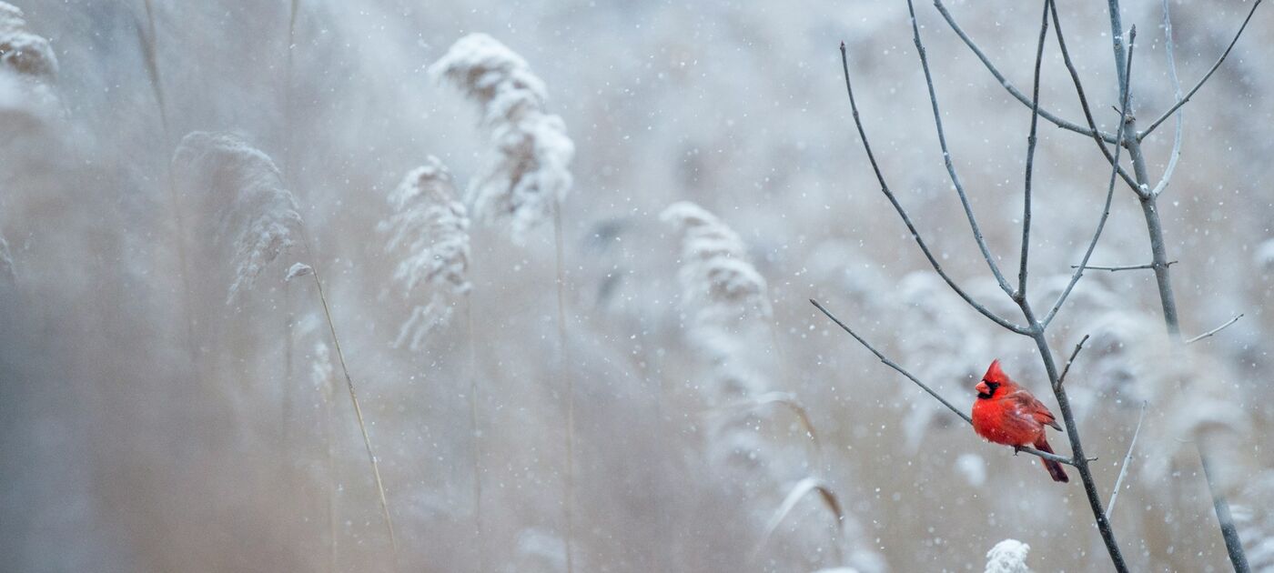 Ray-hennessy-6-JIDCnZG2E-unsplash