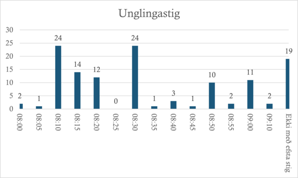 Skolabyrjun-unglingastig